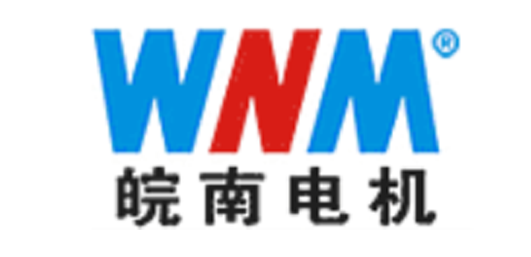安徽皖南电机股份有限公司