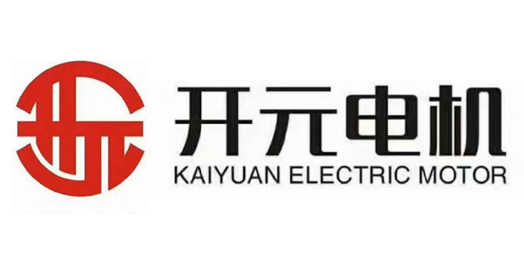 山东开元电机有限公司