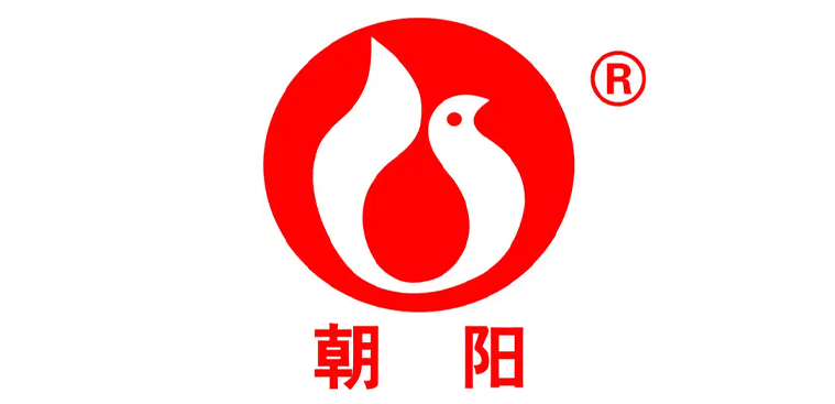 湖南朝阳机电股份有限公司