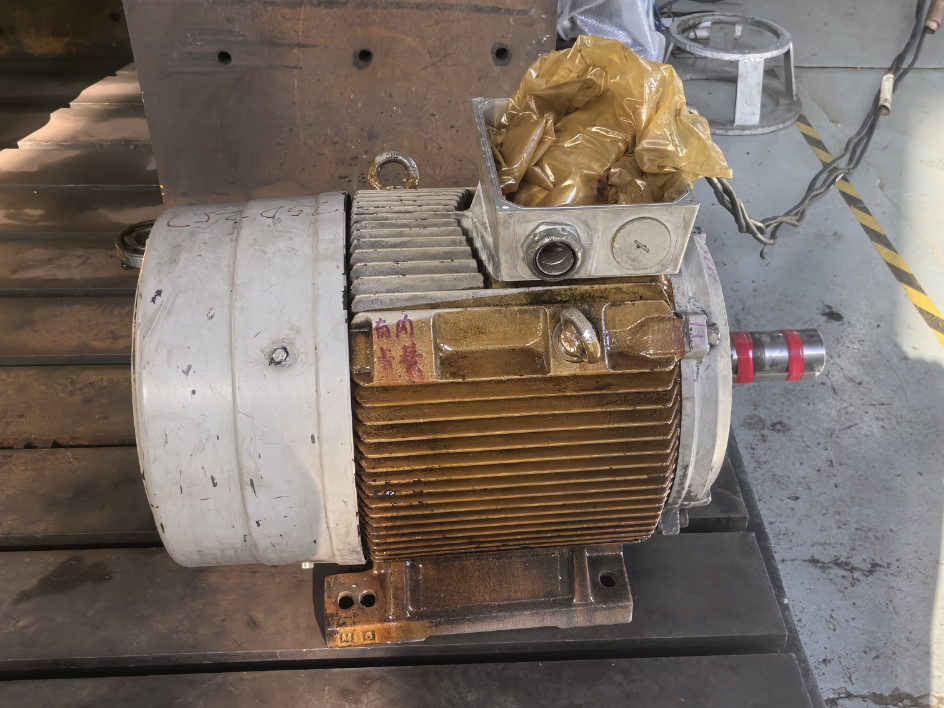 25D257 A250系列隔爆型三相电机