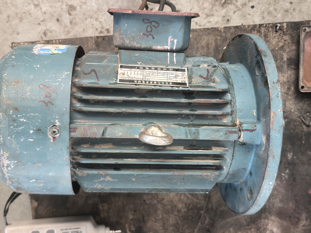 25D308 YE2系列高效率三相电机 100L1机座